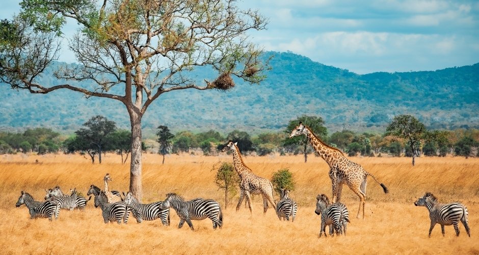 Arusha Nationalpark Mount Meru